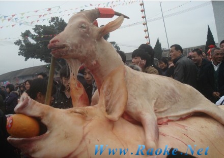 羊巢设计图片
