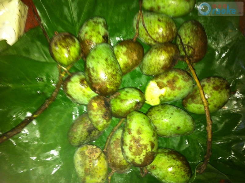 家里荔枝芒果可以吃了,就是蚊子太多了。