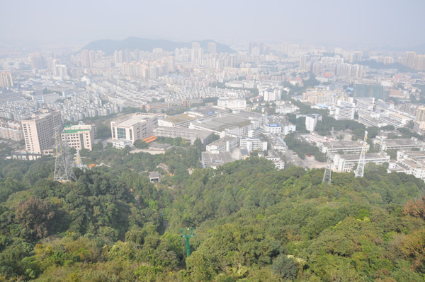 壁纸 成片种植 风景 植物 种植基地 桌面 600_399_观赏网 壁纸 成片种植 风景 植物 种植基地 桌面 600_399