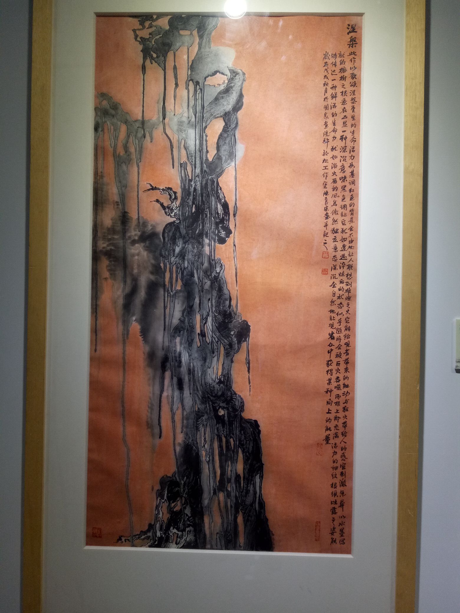 IMG20190210155554.jpg